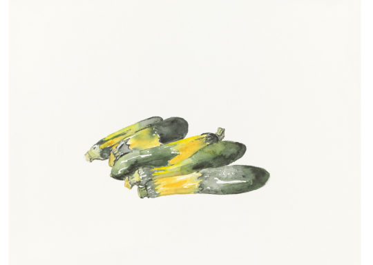 Courgettes jaunes et verts, 2021