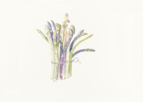 bouquet d'asperges, 2024