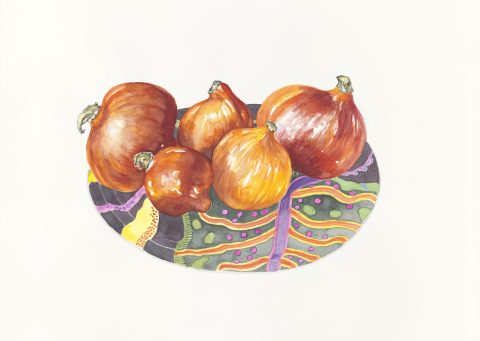 citrouuilles, 2024